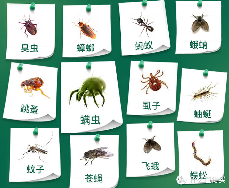 夏季灭虫驱虫大合集，这篇文章不允许放过一只害虫